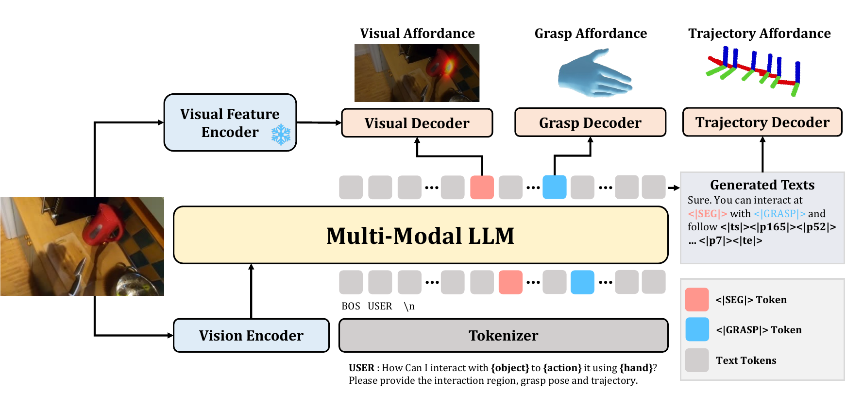 VLAff model architecture